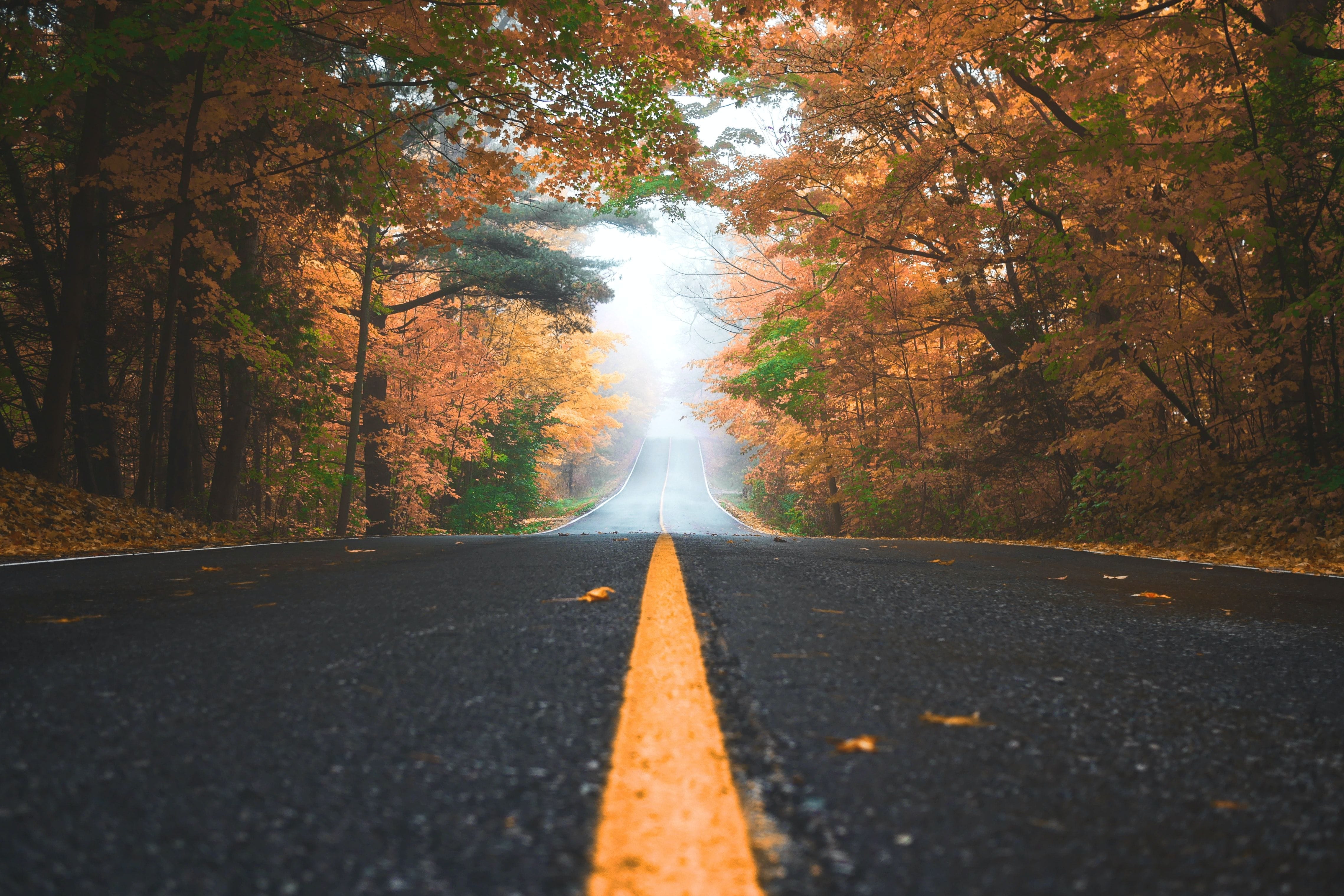 Find Out What Is In Store For You This Fall Find Out What Is In Store For You This Fall